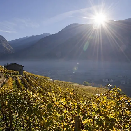 Agriturismo Coltiviamo Sogni Berry & Wine B&B *