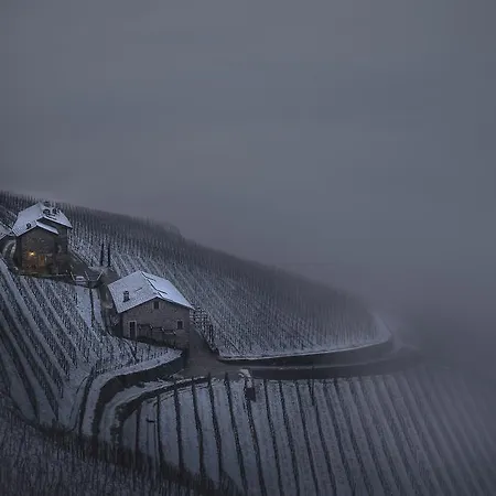 农家乐 Coltiviamo Sogni Berry & Wine