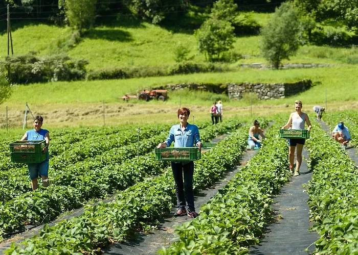 Coltiviamo Sogni Berry & Wine