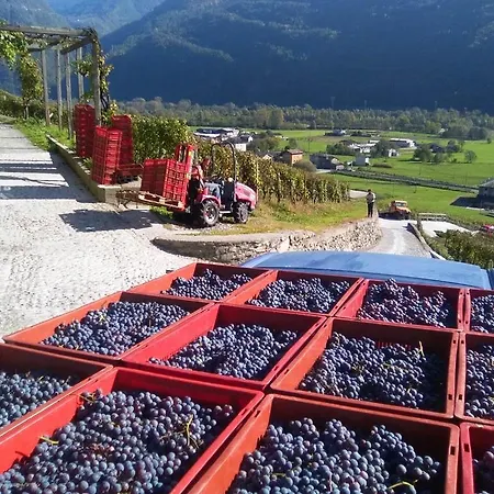 Vakantieboerderij Coltiviamo Sogni Berry & Wine *