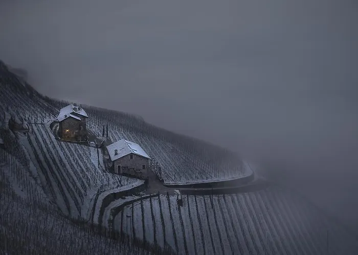 Vakantieboerderij Coltiviamo Sogni Berry & Wine